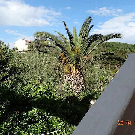 Vasiliki